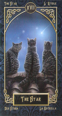 Tarot Familiars